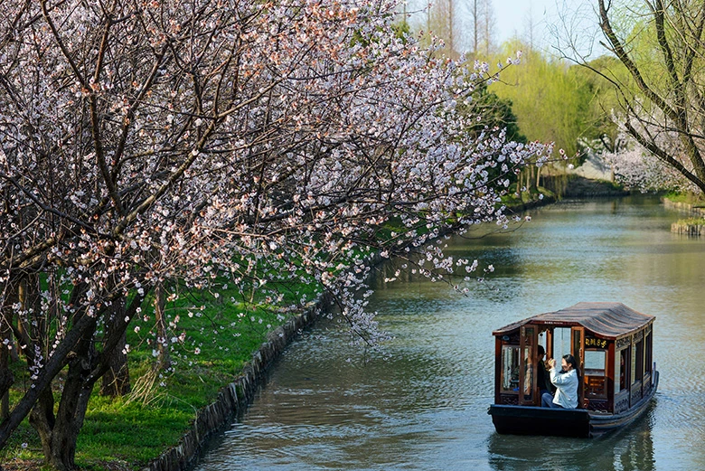 在城外，与水与风相遇：同里湿地公园的慢时光